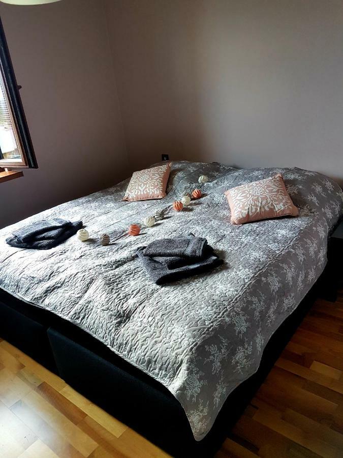 Appartement Sloneczny à Kielce Extérieur photo